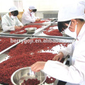 Certificat BCS Bio Goji Berry pour l&#39;exportation